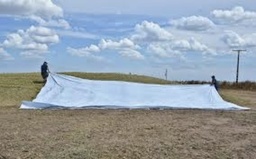 IpesaManta