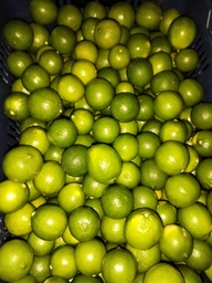 Limón persa