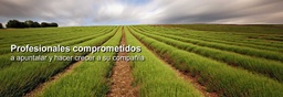Consultorias para registro de empresas INSAI